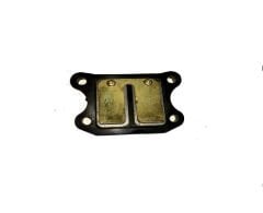 Honda Kinetic Diyafram (Klepe)